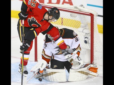 Flames Matthew Tkachuk jumps to screen Ducks goalie John Gibson during NHL playoff game 4 action between the Calgary Flames and Anaheim Ducks in Calgary, Alta on Wednesday April 19, 2017. Jim Wells/Postmedia