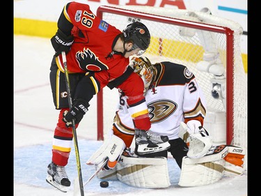 Flames Matthew Tkachuk jumps to screen Ducks goalie John Gibson during NHL playoff game 4 action between the Calgary Flames and Anaheim Ducks in Calgary, Alta on Wednesday April 19, 2017. Jim Wells/Postmedia