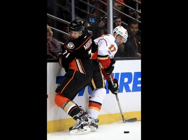 ANAHEIM, CA - APRIL 15:  Brandon Montour #71 of the Anaheim Ducks and Lance Bouma #17 of the Calgary Flames battle for a loose puck during the second period of Game Two of the Western Conference First Round during the 2017 NHL Stanley Cup Playoffs at Honda Center on April 15, 2017 in Anaheim, California.  (Photo by Sean M. Haffey/Getty Images)