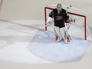 Anaheim Ducks goalie John Gibson celebrates after the team's 3-2 win over the Calgary Flames during Game 2 of a first-round NHL hockey Stanley Cup playoff series in Anaheim, Calif., Saturday, April 15, 2017. (AP Photo/Chris Carlson) ORG XMIT: ANA121
