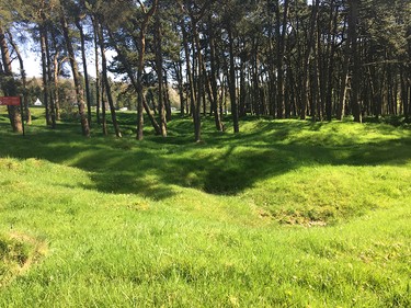 Observances for the 100th anniversary of the Battle of Vimy Ridge.