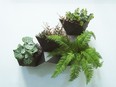 Modular Living V-Plant Wall Planter.