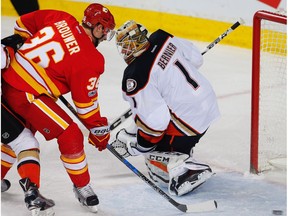 Calgary Flames' Troy Brouwer has a late scoring chance against Anaheim Ducks goalie Jonathan Bernier in Calgary on Sunday, April 2, 2017. (Al Charest)