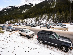 Vehicles parked in the Sunshine Village parking lot and along the side of the ski and snowboard resort's access road on Nov. 20, 2016.