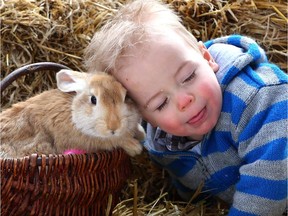 Walker Poitras, 1, has some fun with a baby bunny at Butterfield Acres Farm during Easter festivities in 2015. Visit Butterfield Acres' petting zoo on Sunday in Kensington.