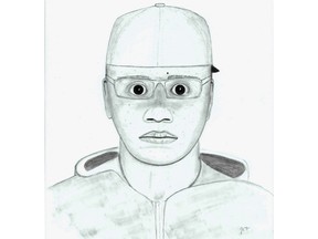 Calgary police have released a sketch of a suspect in a sexual assault that occurred in Penbrooke Meadows last month.