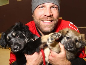 Brian McGrattan holds up two rescue pups during the 2nd Annual FurBabies fundraiser to Benefit AARCS, Alberta Animal Rescue Crew Society at BowDog Canine Crew Specialists facility in Calgary, Alta. on Sunday November 16 2014. Darren Makowichuk/Postmedia Network