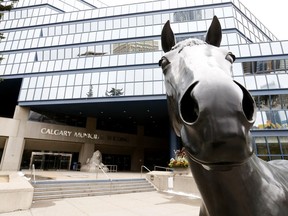 Calgary city council behaviour continues to raise eyebrows.