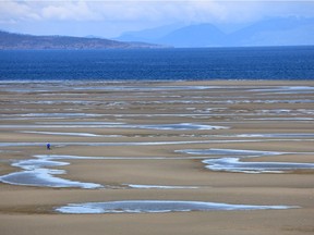 Caption: Endless tidal flats in Parksville are perfect for beachcombers
Credit: Andrew Penner
