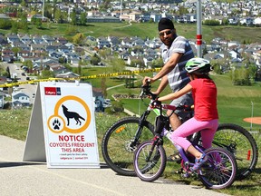 Tarv Bajwa and daughter Harveen, 7, stop to look at signs posted along a pathway in Panorama Hills last Friday.