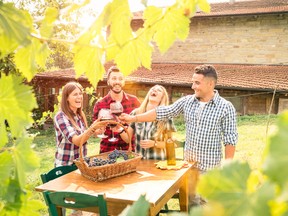 Happy friends having fun drinking wine at winery vineyard