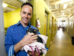 Dr. Drew Van Niekerk with Georgina, one of the adoptable dogs at the Calgary Humane Society as the southeast Calgary facility reopens May 1 following a parvovirus outbreak.