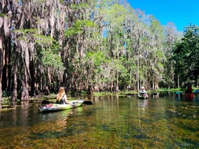 Shingle creek is part of the headwaters for the Florida Everglades and it flows through the Grande Lakes property. On a kayak eco tour you're likely to see birds, turtles, fish and alligators.