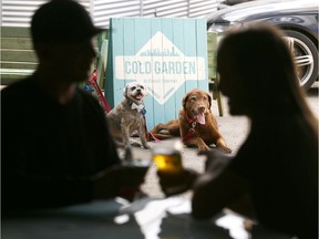 L-R, Sam Hetherington and Co-Owner of Cold Garden Brewing Dan Allard enjoy a beer with Harlem and Rooney looking on as the AHS stepped in to stop the local brewery in Calgary from allowing dogs to join their owners on the property despite no food being prepared on site on Wednesday May 10, 2017. DARREN MAKOWICHUK/Postmedia Network