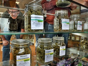 Phoenix business owner Ed Polish scans the cannabis on display at Green Valley Wellness, Thursday, Oct. 1, 2015, in Talent, Ore.