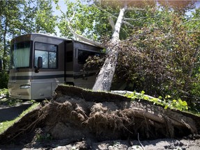 A tree is uprooted and fell on a vacation camper in Lions Campground on Wednesday June 21, 2017 after a wind storm blew through the city of Red Deer.