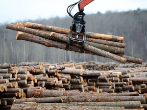 Workers sort wood at Murray Brothers Lumber Company woodlot in Madawaska, Ont. on April 25, 2017.