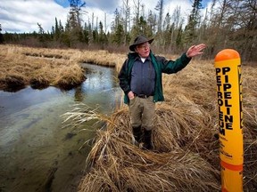 FILE - In this May 12, 2014 file photo, Paul Stolen, a retired state biologist, shows some of the sensitive wetland areas near Minnesota&#039;s Itasca State Park. State regulators will open a series of 22 public meetings on an oil pipeline project that opponents have dubbed the next Dakota Access pipeline struggle. Enbridge Energy is seeking approval from state regulators to replace its aging Line 3 pipeline across northern Minnesota. (Brian Mark Peterson /Star Tribune via AP, File)