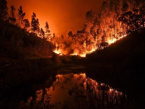 A wildfire is reflected in a stream at Penela, Coimbra, central Portugal, on June 18, 2017.  A wildfire in central Portugal killed more than 60 people, many of them burning to death in their cars, the government said on June 18, 2017.