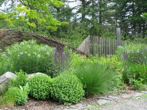 A variety of textures from rocks, fences and plants leads to a pleasing effect overall.