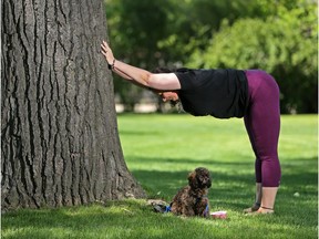 Yoga instructor Johanna Steinfeld demonstrates the Downward Facing Dog with hands on a tree (or wall) in Calgary's Stanley Park on Tuesday May 30, 2017.  Gavin Young/Postmedia Network