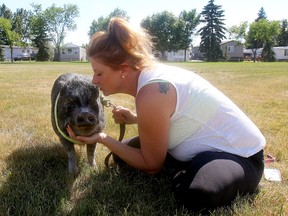 Nicole Harris kisses her miniature pot-bellied pig, Priscilla. Harris has been told by Bylaw Services that she must get rid of Priscilla or face a fine and have her beloved pig seized.