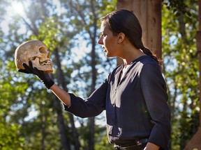 Shakespeare returns to the park on Tuesday; alas, poor Yorick will be given a rest as this year's play is As You Like It.