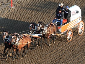 Veteran chuckwagon driver Cliff Cunningham drives the demo wagon before the GMC Rangeland Derby at the the Calgary Stampede, Tuesday  July 11, 2017. CBC play by play hockey broadcaster Harnarayan Singh was along as guest passenger.
