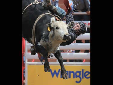 Flint Gordon from Quesnel BC hangs onbefore being bucked off during the junior steer riding at the 2017 Calgary Stampede rodeo, Monday July 10, 2017.