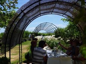Innovative shade covers in New Zealand include overhead screens of woven mats to shelter outdoor dining.