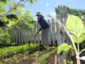The Calgary Horticultural Society will offer a Master Gardener program in September.