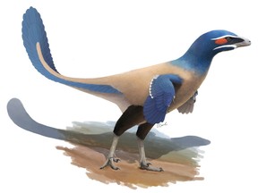 Life recreation of Albertavenator curriei. Illustrated by Oliver Demuth. © Oliver Demuth