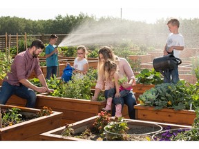 Josh and Katie Capps with their children Kail, 9, Ava,7, Zach, 5, and Cora, 3 at the community garden in Legacy .