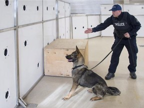 A workshop at the RCMP's dog training centre in Alberta has attracted officers and animals from police forces across the continent eager to see the centre's pioneering work tackling the scourge of fentanyl.