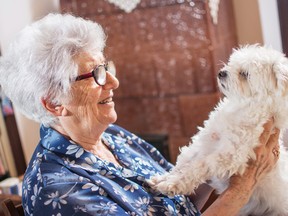 Residents are welcome to bring their beloved pet with them when they move to Luxstone Manor.