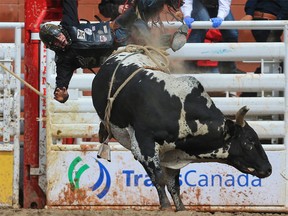 Brock Radford from Dewinton Alberta was bucked off Something' Cool in the bull riding event at the Calgary Stampede rodeo, Tuesday July 11, 2017. GAVIN YOUNG/POSTMEDIA