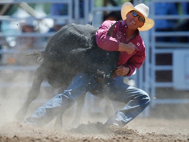 Donalda, Alberta bulldogger Cody Cassidy during the steer wrestling event at the Calgary Stampede rodeo. AL CHAREST/POSTMEDIA