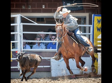 Timber Moore of Aubrey, Texas during the tie-down roping event at the Calgary Stampede rodeo. AL CHAREST/POSTMEDIA