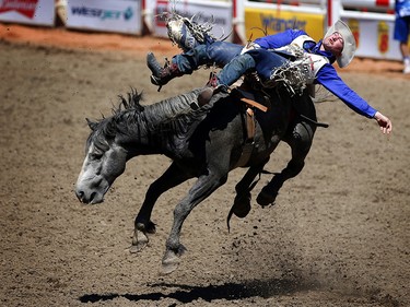Steven Peebles of Redmond, Oregon rides Ultimately Wolf during bareback riding at the Calgary Stampede on Thursday July 13, 2017. Leah Hennel/Postmedia