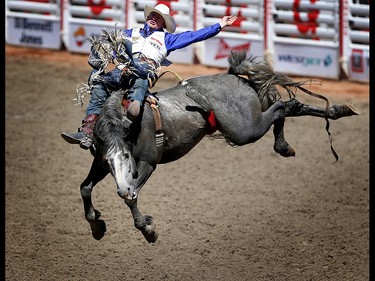 Steven Peebles of Redmond, Oregon rides Ultimately Wolf during bareback riding at the Calgary Stampede on Thursday July 13, 2017. Leah Hennel/Postmedia