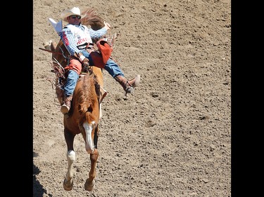 Utah cowboy Mason Clements rides Paradise Moon to a score of 87.50 during the bareback event at the 2017 Calgary Stampede rodeo. AL CHAREST/POSTMEDIA