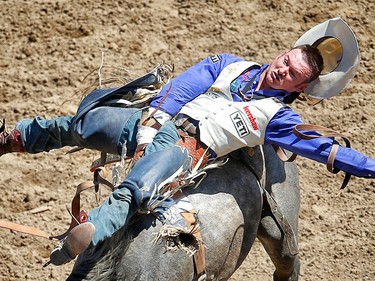 Oregon cowboy Steven Peebles rides Ultimately Wolf to a score of 83.50 points  during the bareback event at the 2017 Calgary Stampede rodeo. AL CHAREST/POSTMEDIA