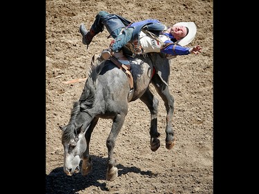 Oregon cowboy Steven Peebles rides Ultimately Wolf to a score of 83.50 points  during the bareback event at the 2017 Calgary Stampede rodeo. AL CHAREST/POSTMEDIA