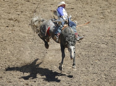 Oregon cowboy Steven Peebles rides Ultimately Wolf to a score of 83.50 points  during the bareback event at the 2017 Calgary Stampede rodeo. AL CHAREST/POSTMEDIA