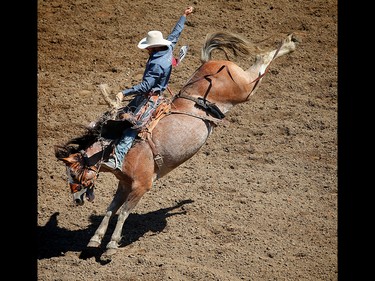 Nebraska cowboy Cort Scheer rides Pearl Necklace in saddle bronc event at the 2017 Calgary Stampede rodeo. AL CHAREST/POSTMEDIA