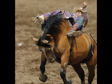 Utah cowboy Kaycee Feild rides Shadow's Fall to a score of 86 in the bareback event at the Calgary Stampede rodeo. AL CHAREST/POSTMEDIA