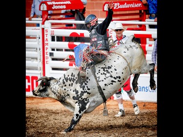 Prince Albert, Saskatchewan cowboy Tanner Byrne rides a bull called All Fired Up to a score of 84 points at the Calgary Stampede rodeo. AL CHAREST/POSTMEDIA