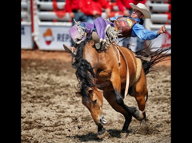 Texas cowboy Jake Brown takes the Day money in the bareback event on a horse called Garden Party with a score of 88 at the Calgary Stampede rodeo. AL CHAREST/POSTMEDIA