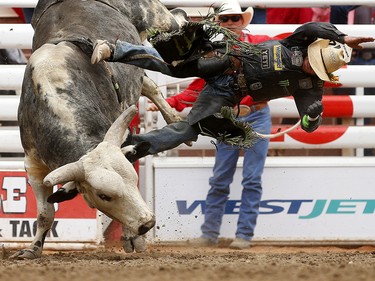 Chase Outlaw of Hamburg, Arizona is bucked off  Tequila during bull riding at the Calgary Stampede, Saturday July 15, 2017. Leah Hennel/Postmedia