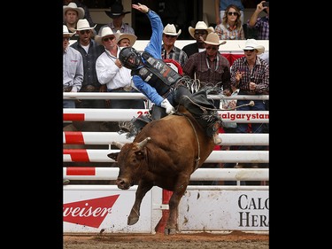 Cody Teel of Kountze, Texasrides Double Down during bull riding at the Calgary Stampede, Saturday July 15, 2017. Leah Hennel/Postmedia